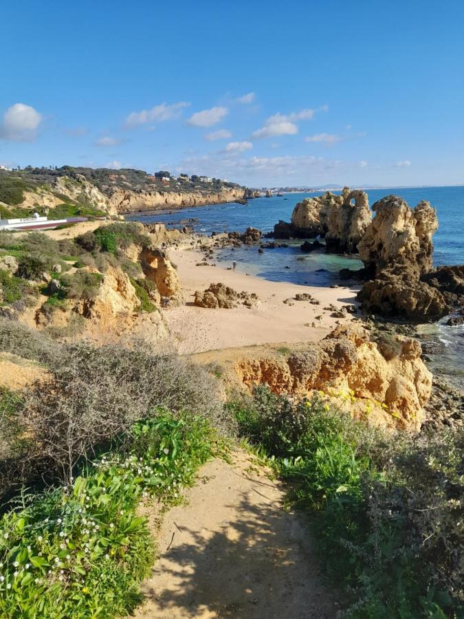 Tropicana One Bedroom Flat T1 In Albufeira Gale Close To 8 Beaches ภายนอก รูปภาพ